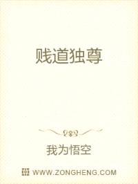 贱道独尊封面