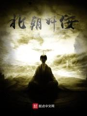 北朝jian佞封面