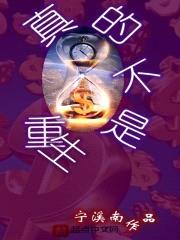 真的不是重生封面