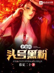 老婆的头号黑粉封面