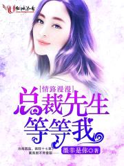 情路漫漫，总裁先生等等我封面