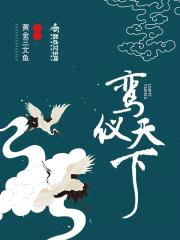 鸾仪天下封面