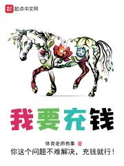 我要充钱封面