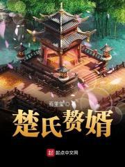 楚氏赘婿封面