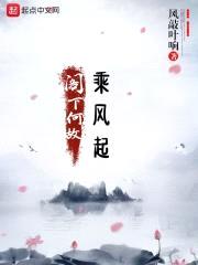 阁下何故乘风起封面