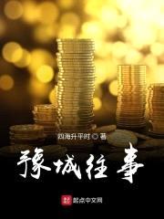 豫城往事封面