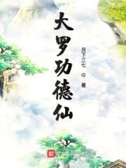 大罗功德仙封面