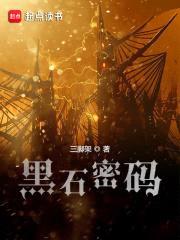 黑石密码封面