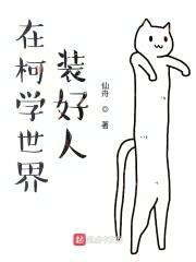 在柯南世界装好人封面