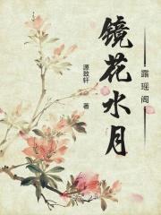 镜花水月露瑶阁封面