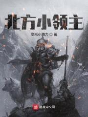 北方小领主封面