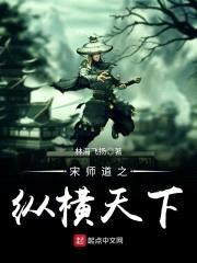 宋师道之纵横天下封面