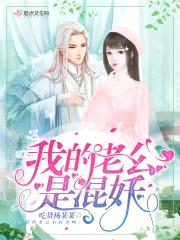 我的老公是混妖封面