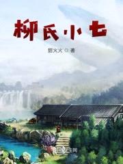 柳氏小七封面