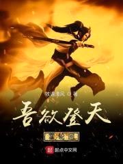 吾欲登天掌轮回封面