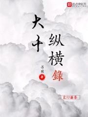 大千纵横录封面