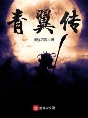 青翼传封面