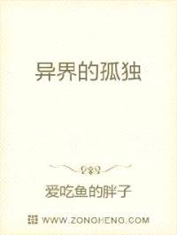 异界的孤独封面