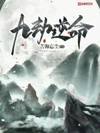 九劫逆命封面