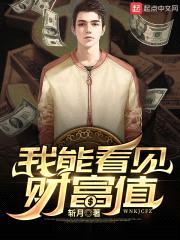 我能看见财富值封面