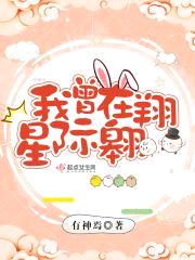 我曾在星际翱翔封面