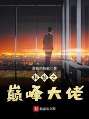 科技之巅峰封面