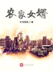 农家女婿封面