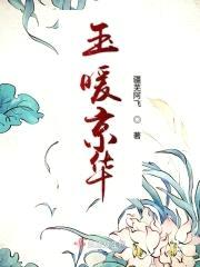 玉暖京华封面