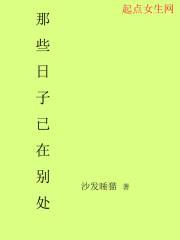 那些日子已在别处封面