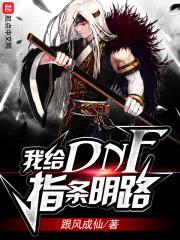 我给DNF指条明路封面