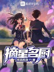 摘星名厨封面