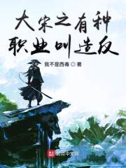 大宋之有种职业叫造反封面