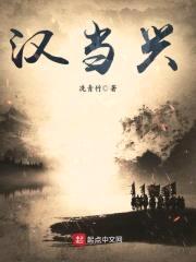 汉当兴封面
