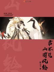 君不见山有风铃封面