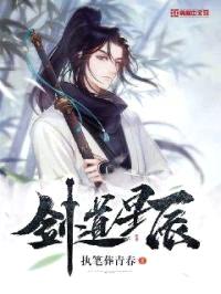 剑道星辰封面