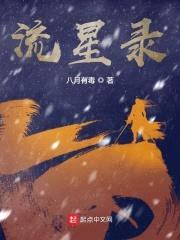 流星录封面