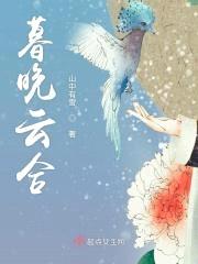暮晚云合封面
