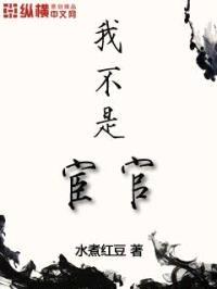 我不是宦官封面