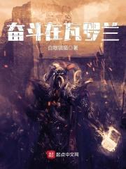 奋斗在瓦罗兰封面