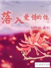 落入爱情的你封面