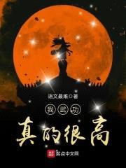 我武功真的很高封面