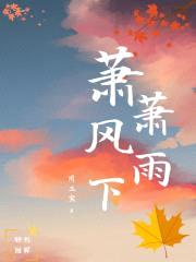 萧萧风雨下封面