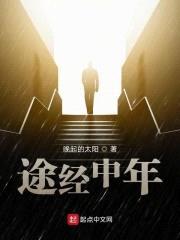 途经中年封面
