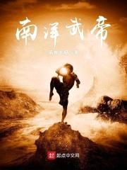南洋武帝封面