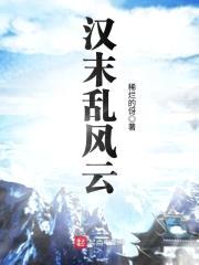 汉末乱风云封面