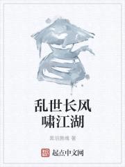 乱世长风啸江湖封面