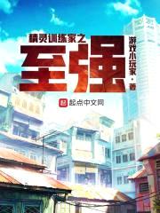精灵训练家之至强封面