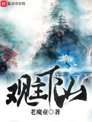 观主下山封面
