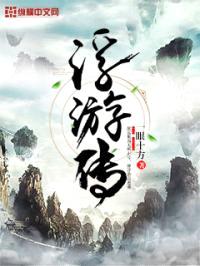 浮游传封面