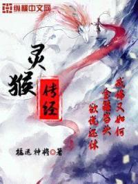 灵猴传经封面